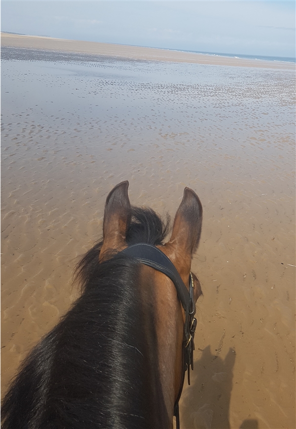 EBA Holkham Beach Ride 2018